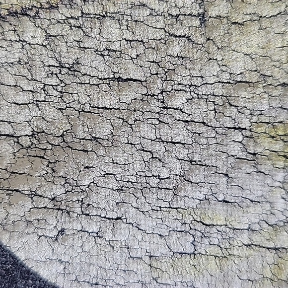 OutKast Vintage Wash T Shirt - Picture 4 of 7